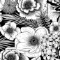 Preview: Cricut 2008049 Joy Luxuspapier botanical 10er-Pack