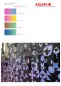 Preview: Aslan ColourShift SE71 - Farbwechselnde Vinylfolie