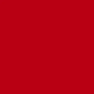 031 Rot