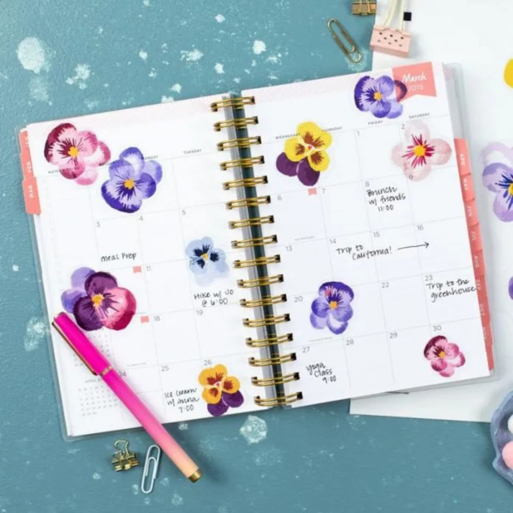 Preview: Silhouette Transparente Aufkleberbögen (Inkjet) – 21,5 × 27,9 cm (8 Blatt)