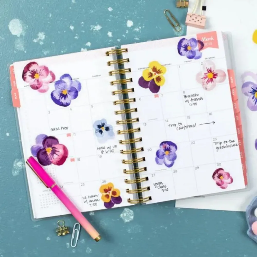 Silhouette Transparente Aufkleberbögen (Inkjet) – 21,5 × 27,9 cm (8 Blatt)